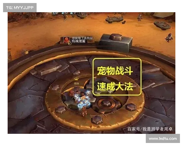 魔兽世界战宠升级秘籍:快速提升战力